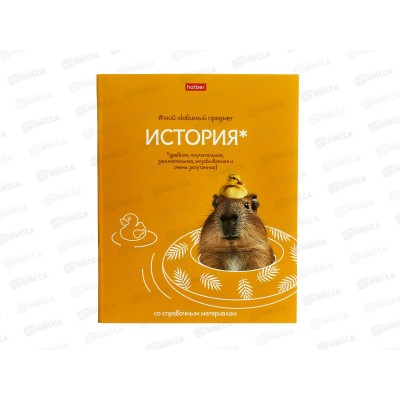 Тетрадь 48л кл. ХАТ Мой любимый предмет История 33141 *12/180 Тетрадь 48л кл. ХАТ Мой любимый предмет История 33141 *12/180