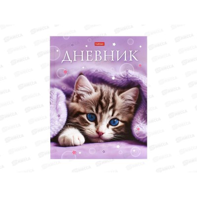 Дневник ХАТ Замурчательное настроение, 1-11кл.тв.обл., 40л 33823 *14