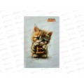 Словарь д/зап.иностр.слов 48л Апплика, Котенок с буквами С0837-46 *40