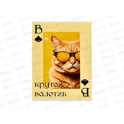 Тетрадь 80л кл. ЭКСМ А4 Крутой валетик, скрепка  Т4805263 *20