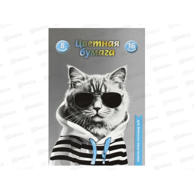 Цветная бум. 16л  8цв А4 ФЕН Кот в худи 69948  *50