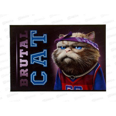 Альбом д/рис.24л ПЗБМ Брутальные коты, микс 043546 *4/48