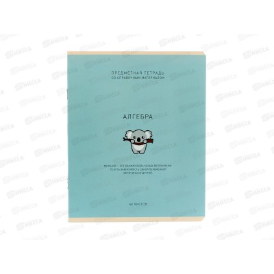 Тетрадь 48л кл. ПЗБМ Ми-ни-Ми Алгебра, 022570 *5/50