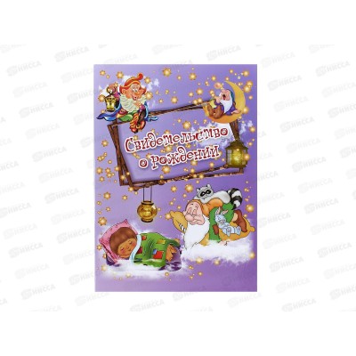 Папка ЛиС А4 Свидетельство о рождении (ламинат) PV53000060