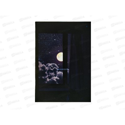Тетрадь 80л кл. Lorex night shift А4. soft touch LXCBCLA4-NS *18