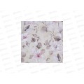 Клеенка Grace нетканная 1,37х20м D81565-1 104076