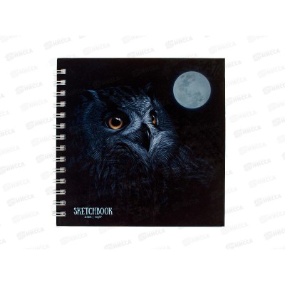 Скетчбук АКАД 60л Ночной филин 192*192 10743-ЕАС *12 Скетчбук АКАД 60л Ночной филин 192*192 10743-ЕАС *12