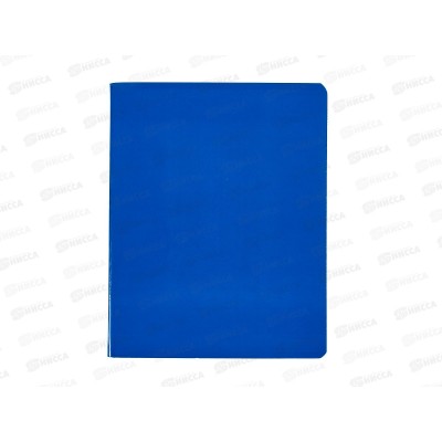 Тетрадь 96л кл. АКАД Синяя EAC-13991/5 *10/30 Тетрадь 96л кл. АКАД Синяя EAC-13991/5 *10/30