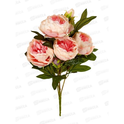 Букет 60см 6гол №77 81126 *20  Б