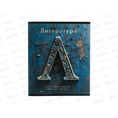 Тетрадь 48л лин. ПЛН HARDCORE Литература. скрепка 25049 *40