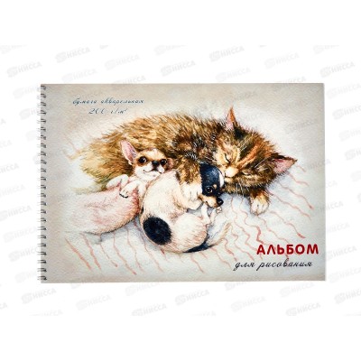 Альбом д/акварели 20л ПЛН Спящие дружочки, 1диз. 2914 *10 Альбом д/акварели 20л ПЛН Спящие дружочки, 1диз. 2914 *10