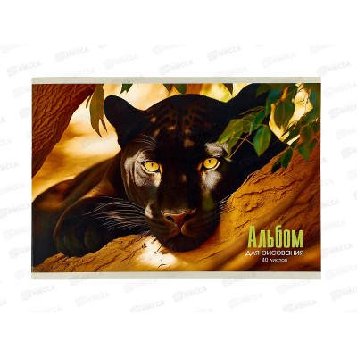 Альбом д/рис.40л ЭКСМ Пантера мел.карт. скрепка А402555 *30 Альбом д/рис.40л ЭКСМ Пантера мел.карт. скрепка А402555 *30