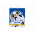 Блокнот 100л ЭКСМ А6+ Hello №2. клетка БЧПСК61003932 *20
