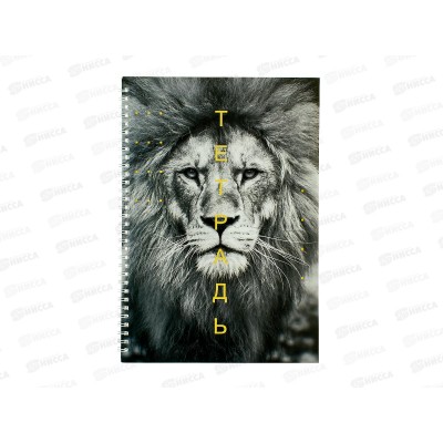 Тетрадь 60л кл. ЭКСМ А4 Лев, греб. ТС4605031 *6/30 Тетрадь 60л кл. ЭКСМ А4 Лев, греб. ТС4605031 *6/30
