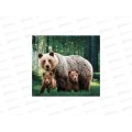 Алмазная мозаика MAZARI Медведи. 40х50см,1диз, M-11781 *12