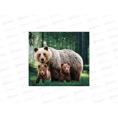 Алмазная мозаика MAZARI Медведи. 40х50см,1диз, M-11781 *12