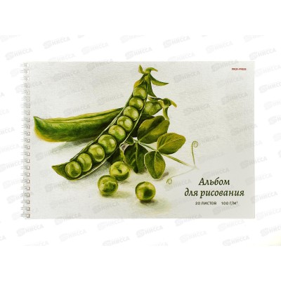 Альбом для рисования 20л ПП Изящный натюрморт, 2диз., на гребне, 20-5106 Альбом для рисования 20л ПП Изящный натюрморт, 2диз., на гребне, 20-5106