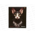 Тетрадь 48л кл. Remix Шикарные коты, второй блок, 48-8410 *100
