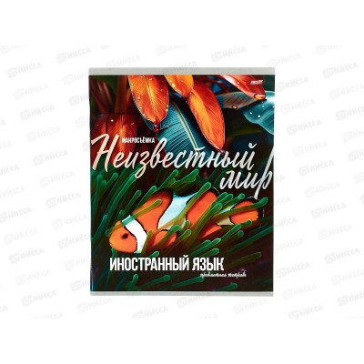 Тетрадь 36л клетка Profit "Мир вокруг" Иностранный язык, 36-2386 *10/80