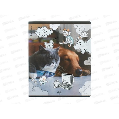 Тетрадь 48л кл. ПОЛИ Dream Cat, с пласт. обложкой 54161 *10/100 Тетрадь 48л кл. ПОЛИ Dream Cat, с пласт. обложкой 54161 *10/100