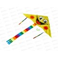 Воздушный змей F103D, В2206288 в пакете Воздушный змей F103D, В2206288 в пакете