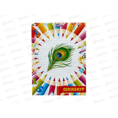 Блокнот 32л ПГС Карандаши А6 *24