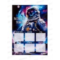 Расписание уроков ПГС 20*29 Космос *20