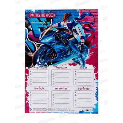 Расписание уроков ПГС 20*29 Мото *20
