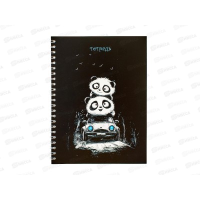 Тетрадь 40л кл. Апплика Веселые панды, греб. С0154-03 *80 Тетрадь 40л кл. Апплика Веселые панды, греб. С0154-03 *80