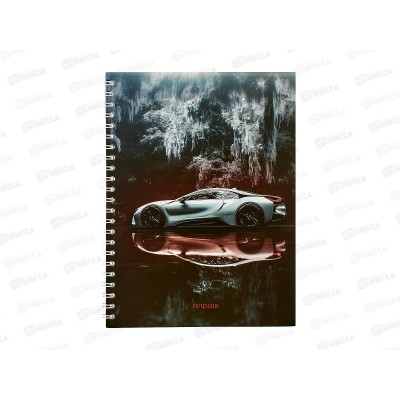 Тетрадь 40л кл. Апплика Отражение, греб. С0154-06  *80