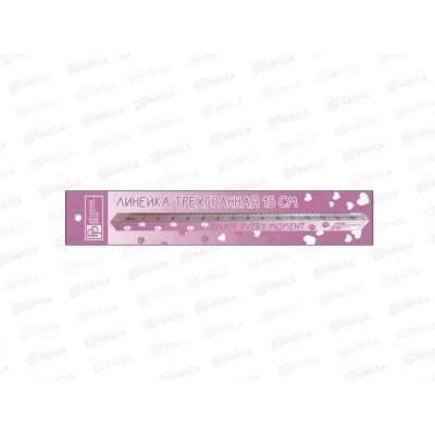 Линейка 15см ФЕН Розовый градиент. полистирол 60684 *100