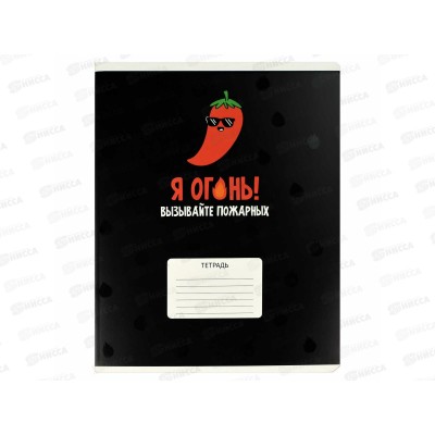 Тетрадь 24л кл. ФЕН Герои с характером, офс., выб.УФ, 68545 *20/120