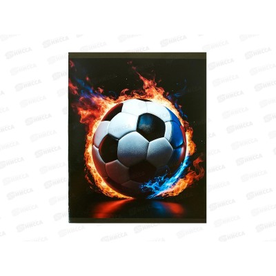 Тетрадь 48л кл. LAMARK Футбольный мяч. на скобе 4824-24  *5/100 Тетрадь 48л кл. LAMARK Футбольный мяч. на скобе 4824-24  *5/100