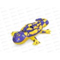 Плотик SPLASHIN SALAMANDER 191х119см, 41502 BESTWAY 042-063 г Плотик SPLASHIN SALAMANDER 191х119см, 41502 BESTWAY 042-063 г