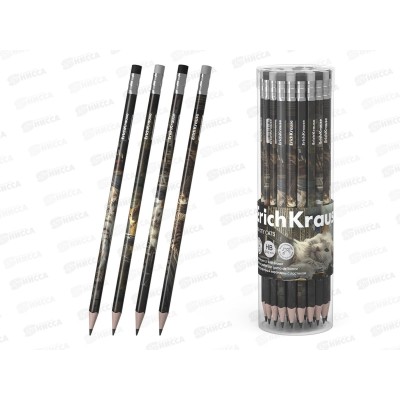 Карандаш ч/г с ласт. EК Big City Cats НВ 62760 *42/252