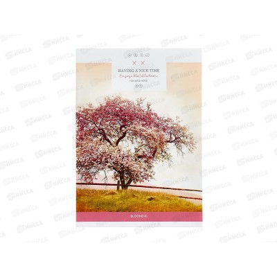 Тетрадь 80л лин. ПЗБМ А4 Дерево, 028097 5/30