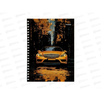 Тетрадь 48л кл. Апплика Золотое авто греб. С0245-138  *80