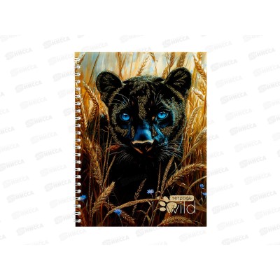 Тетрадь 48л кл. Апплика Черная пантера,греб. С0245-137*80