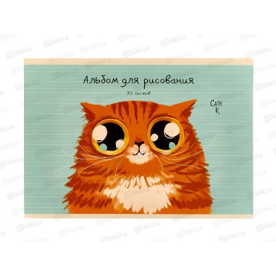 Альбом д/рис.30л ЭКСМ Рыжий кот. скрепка. мел.картон  АЛ302547 *50