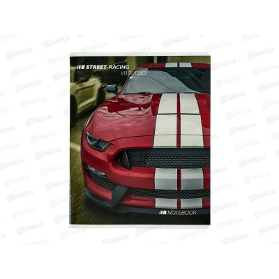 Тетрадь 48л кл. АКАД Капоты EAC-10128/5 *20/60