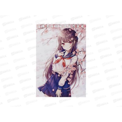 Блокнот 40л СБ А6 Anime 5, греб.верх. *10