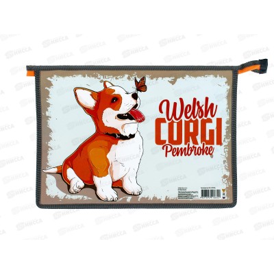 Папка пл. ПЧЕЛКА А4 Игривый щенок, асс., молн., ПМ-А4-29 *50