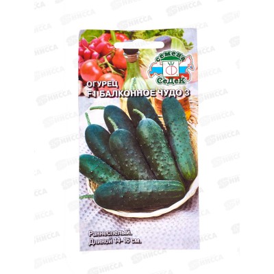 Огурец Балконное Чудо 3 F1 (Евро, 0,2) СеДек *10 Огурец Балконное Чудо 3 F1 (Евро, 0,2) СеДек *10