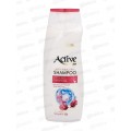 Active Шампунь C&B С женьш и гибискус вит В6 от выпадения 350мл *12 Active Шампунь C&B С женьш и гибискус вит В6 от выпадения 350мл *12