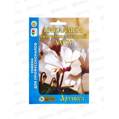 Цикламен перс Амор 7шт  цв/п *10  АРТ