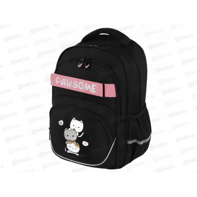 Рюкзак BRAU Motion 41*28*17см, Cat tower 2отд. 272033 *20 Рюкзак BRAU Motion 41*28*17см, Cat tower 2отд. 272033 *20