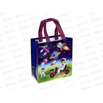 Сумка-шоппер 22*23*11 Космос *12