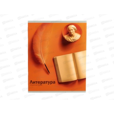 Тетрадь 48л линия ПП "На уроке" Литература, 48-2378 софт-тач *10/80