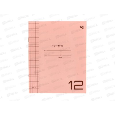 Тетрадь 12л кл. BG UniTone Neon ,пластик. обл. оранжевый 08895 *10/150