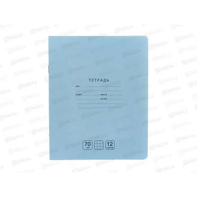 Тетрадь 12л кл. BG Отличная, голубая.,11756 *16/160
